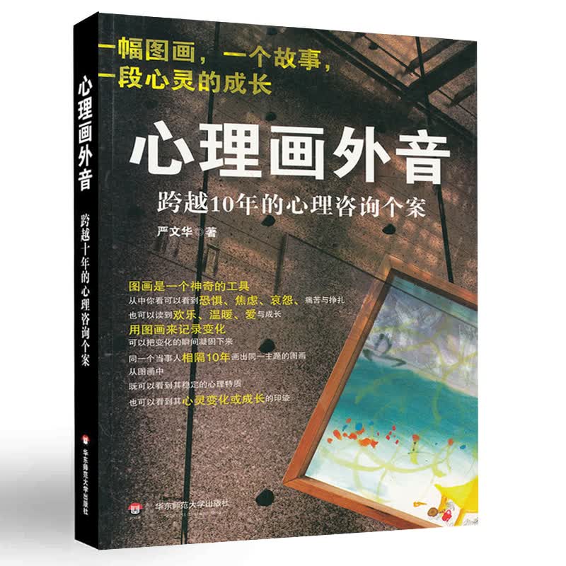 正版心理画外音 跨越10年的心理咨询个案 严文华 社会心理学与生活 心理咨询与手记 华东师范大学 一