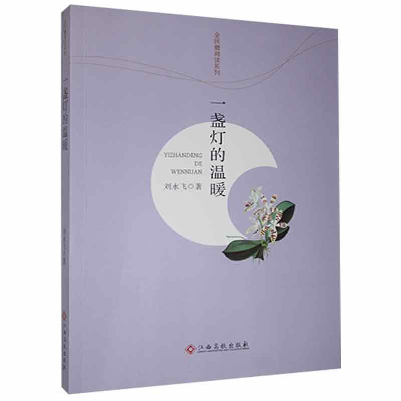 一盏灯的温暖小说  图书