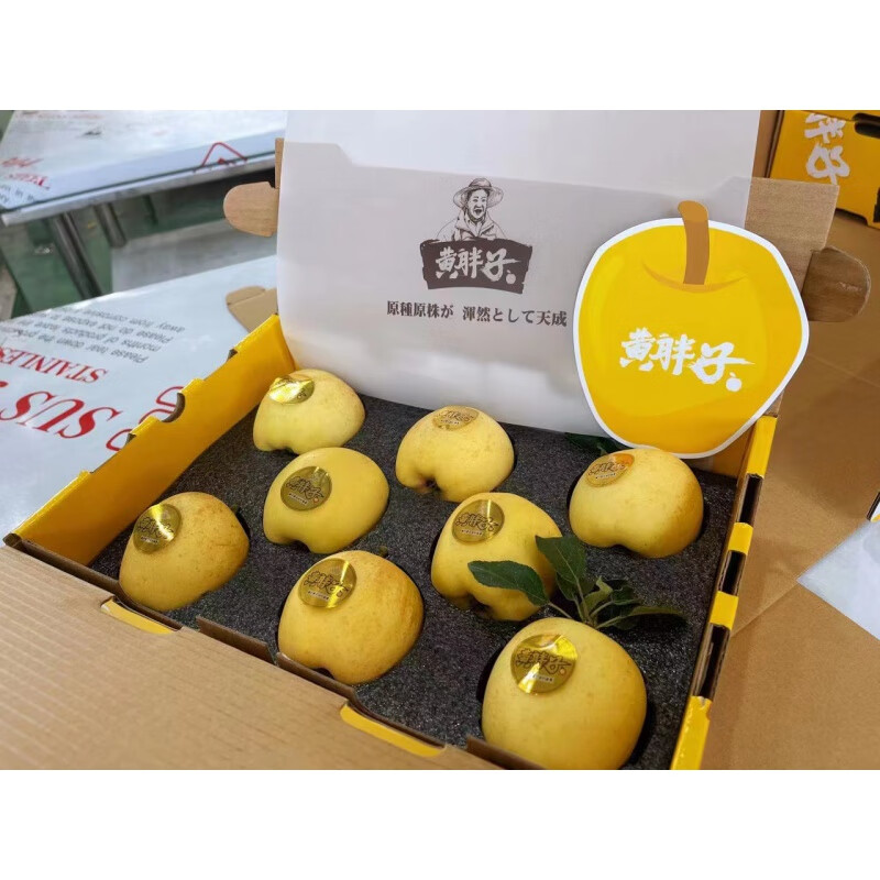 皓谦黄胖子维纳斯黄金苹果冬恋苹果甜脆新鲜水果年货礼盒装 7斤 10枚