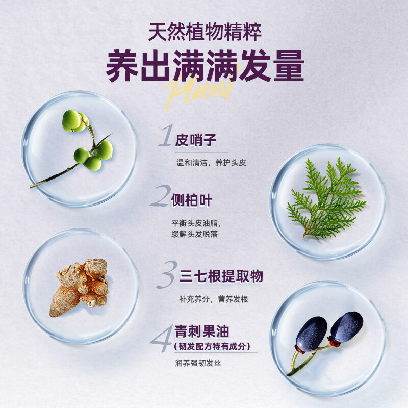 养元青洗发水防脱发控油强韧蓬松育发液护发固发洗头膏露 【国妆特证】强韧洗发水500ml