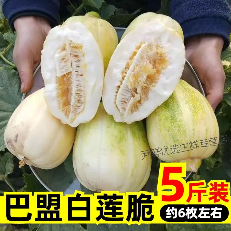 内蒙古五原巴盟白莲脆香瓜新鲜白梨脆瓜现摘现发水果白兰脆顺丰 5斤装