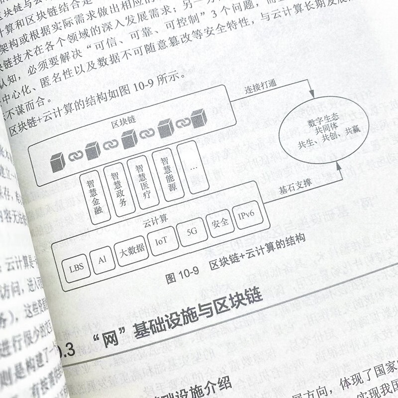 链上新经济 链上新治理——区块链技术原理与应用详情图