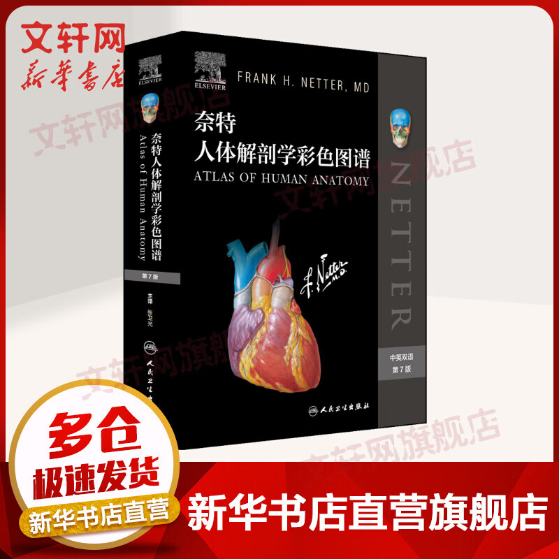 【正版包邮】奈特人体解剖学 彩色图谱第7版 图解解剖教程 法医解剖书籍指南 人民卫生出版社 9787117286480
