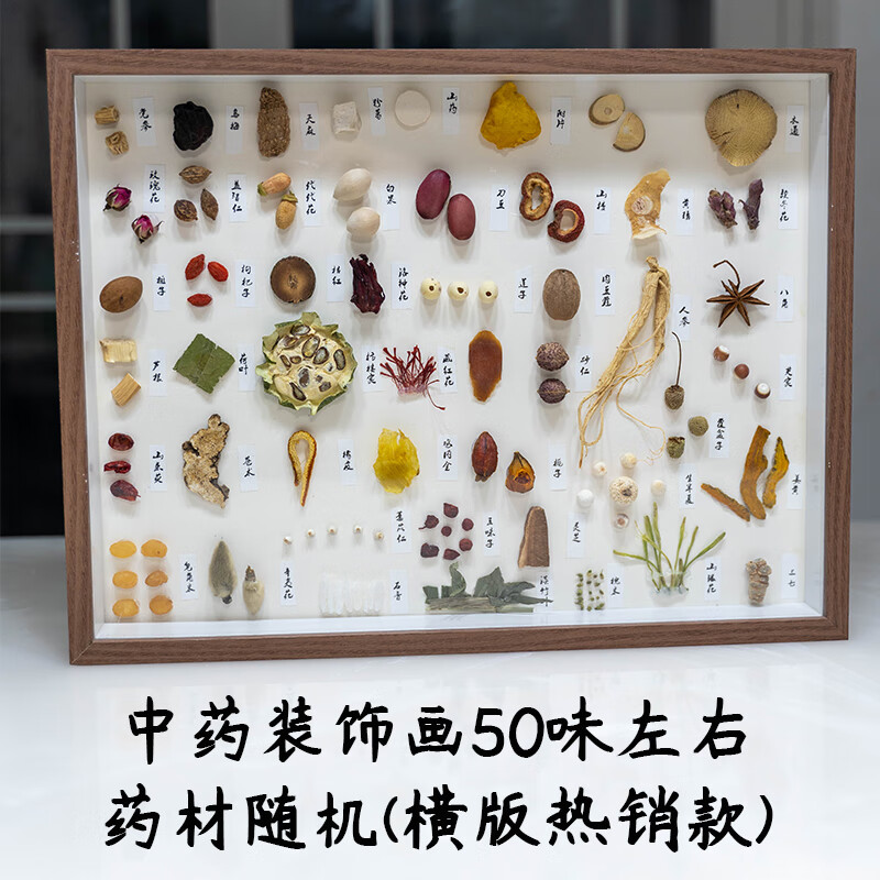 霜魄中药标本装饰画中医药展馆教学认识植物学习养生倪师家居摆设挂画