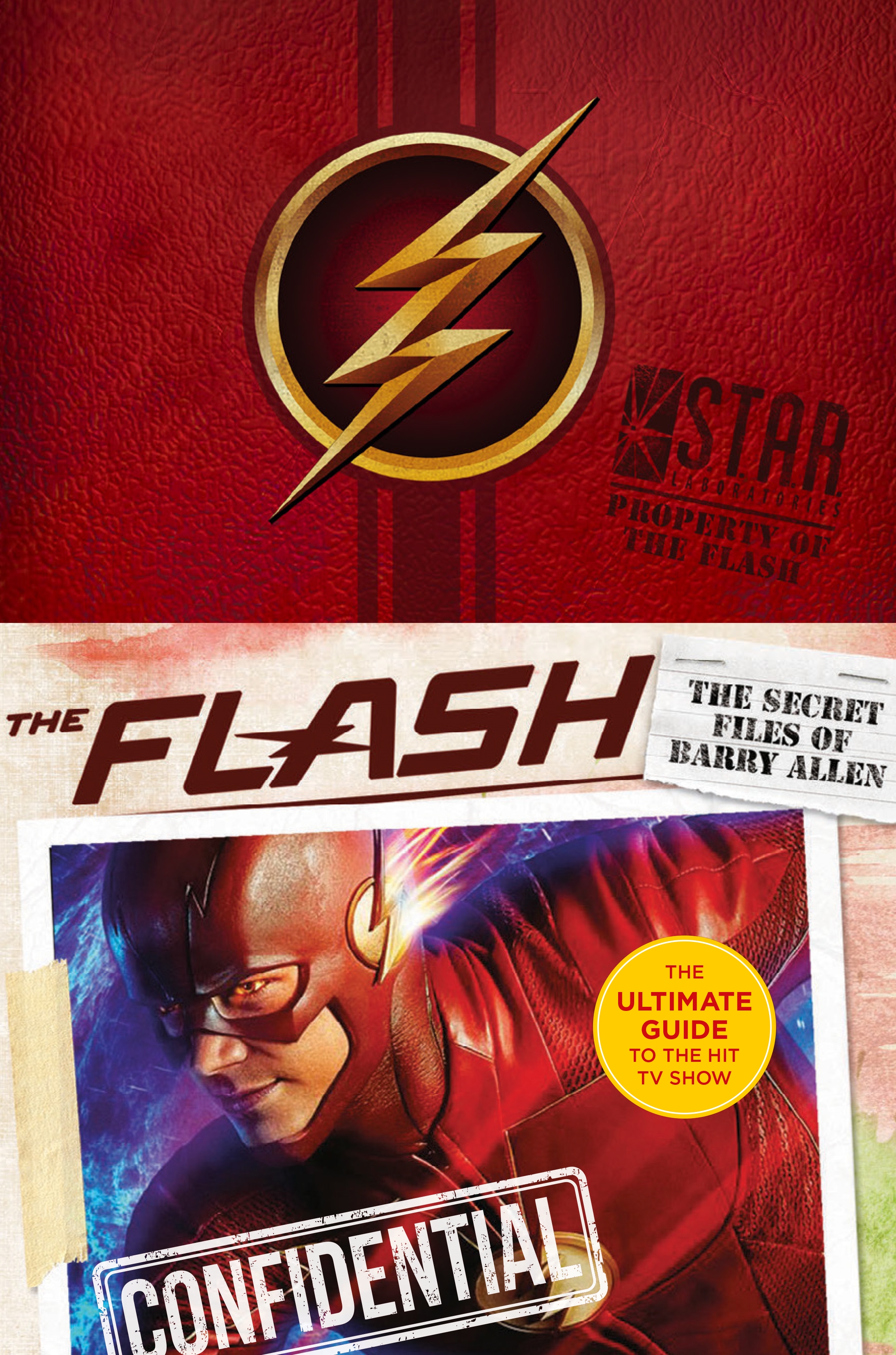 flash: the secret files of barry allen
