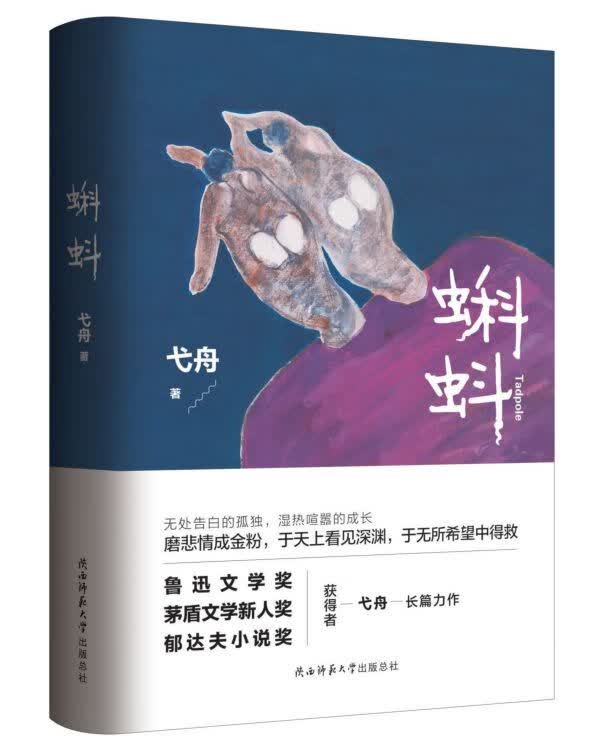 蝌蚪(精)