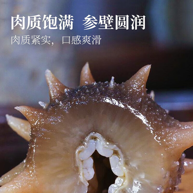 星龙港 大连冷冻即食海参  海鲜水产 固形物含量≥80% 即食海参500g5-10头 500g