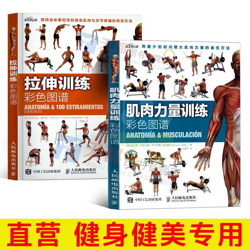 肌肉力量训练彩色图谱+拉伸训练彩色图谱 运动健身体能训练书籍 健身书籍练肌肉 肌肉训练图谱塑造书 无器械健身教程 健身教练套装