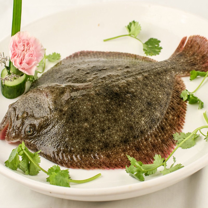 【活鲜】三座海 新鲜活冰鲜多宝鱼 700-600g 1条 袋装 海鱼海鲜水产