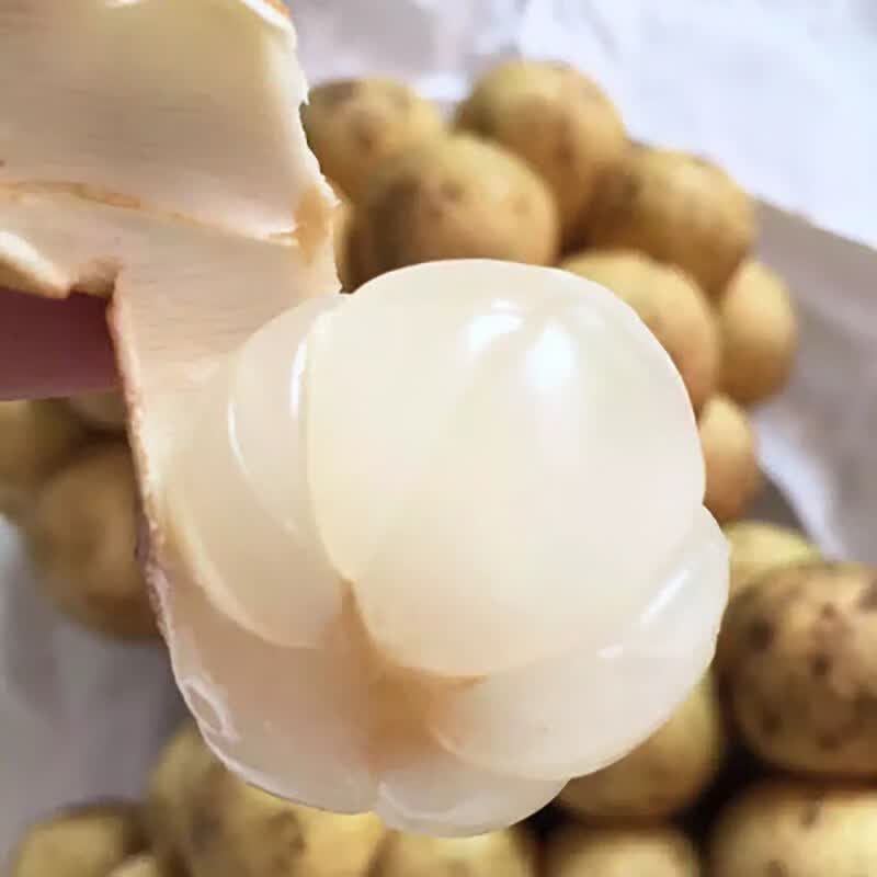 星云湖【顺丰空运】泰国龙宫果新鲜水果稀有爱情果椰色果龙贡果生鲜 500g【大果实惠装丨1-3串】
