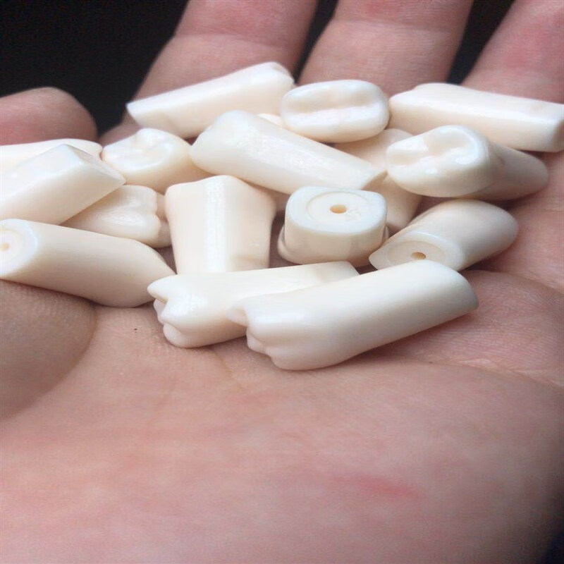 口腔仿真头模树脂牙粒备牙标准考试专用牙模离体牙开髓牙齿牙模型
