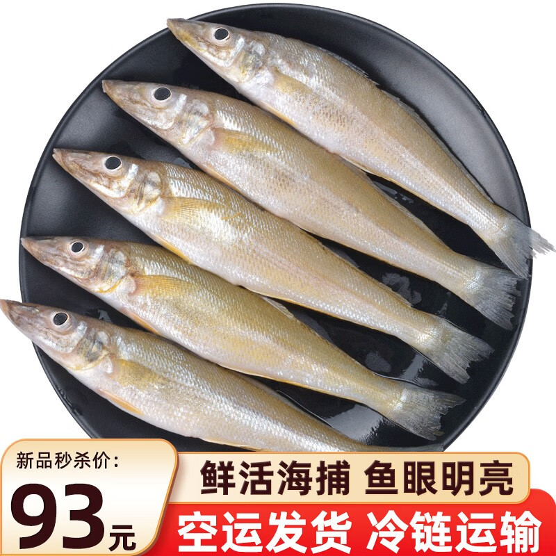 海皇湾 沙丁鱼 3斤 新鲜青岛海捕深海鱼 生鲜 鱼类 沙丁鱼3斤装
