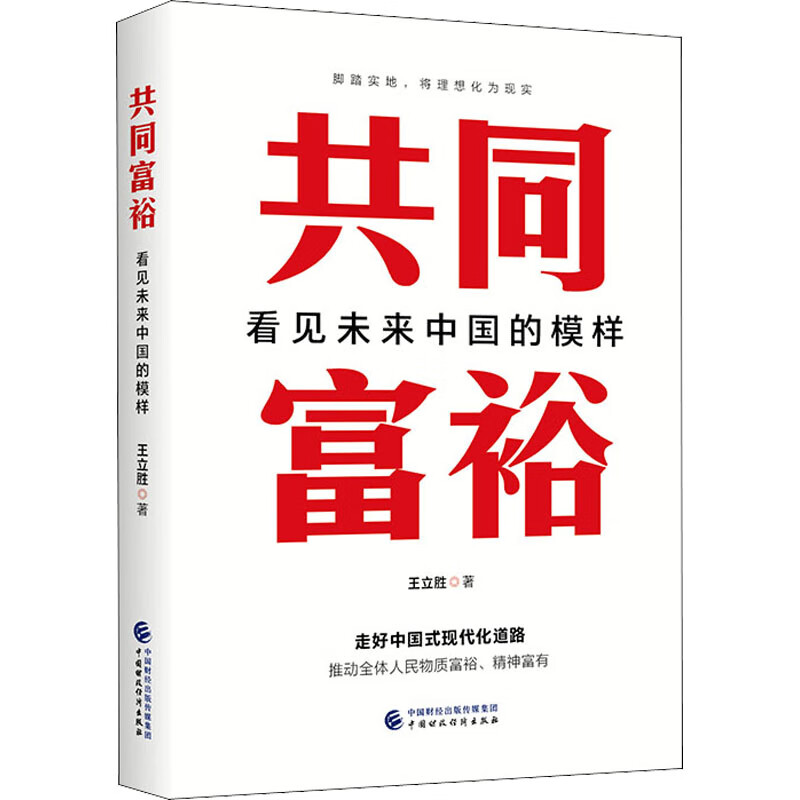 共同富裕 看见未来中国的模样 王立胜 书籍