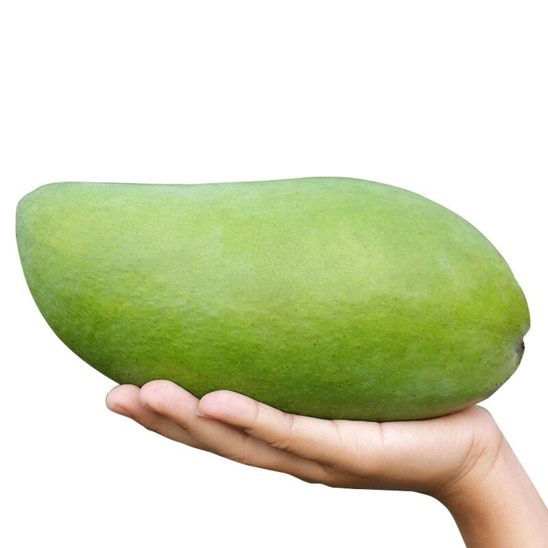 颜小荭 越南大青芒 大芒果约400g起  青皮芒 可生吃当季热带时令水果 严选4.5-5斤大果