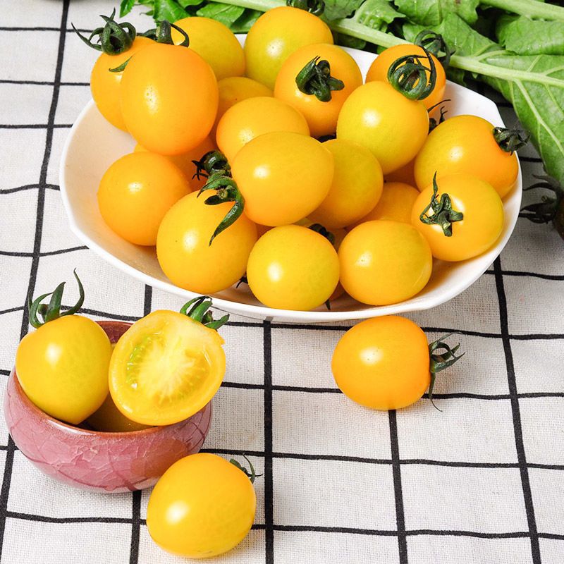陌好味黄色小番茄 黄姑娘小柿子 3斤生吃小西红柿东北顺丰新鲜蔬菜