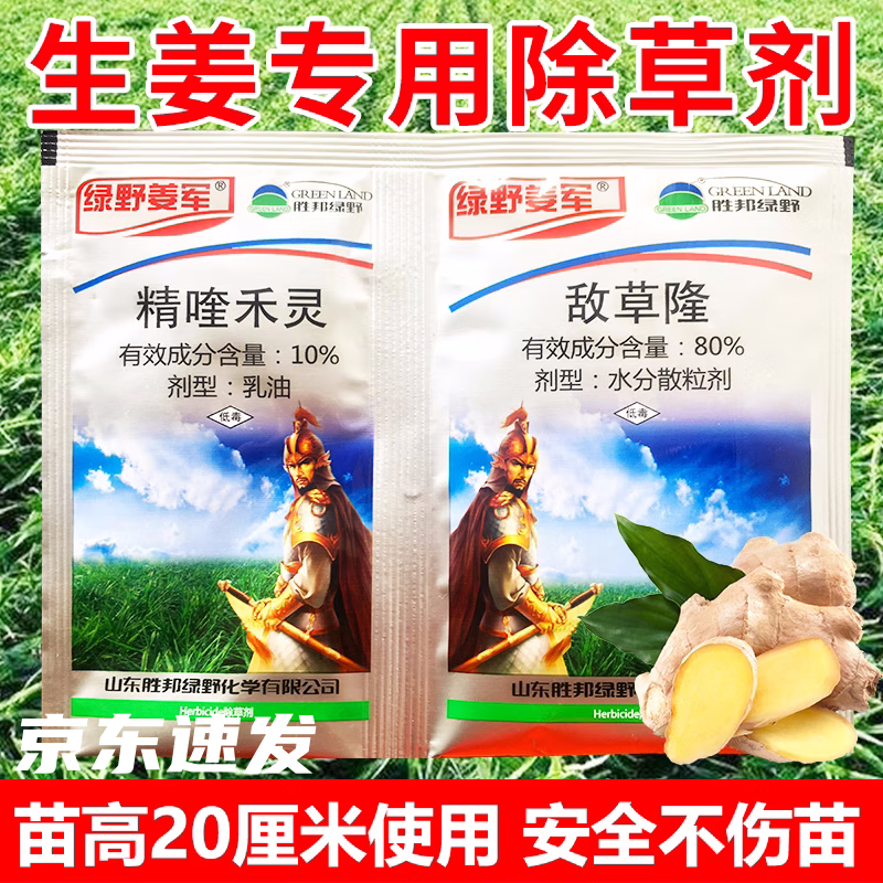 生姜除草剂 绿野姜军 敌草隆 大黄姜苗后禾阔通杀草药 烂根不伤姜 50g