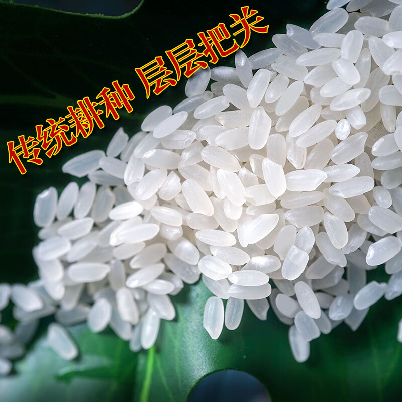绿色食品之乡 庆安 大米商品图片-4