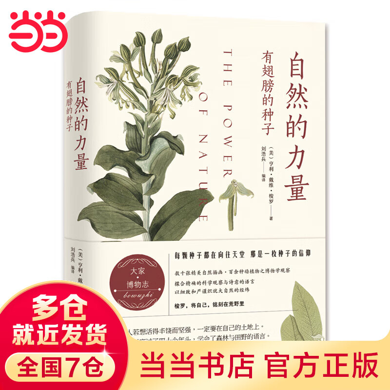 自然的力量：有翅膀的种子