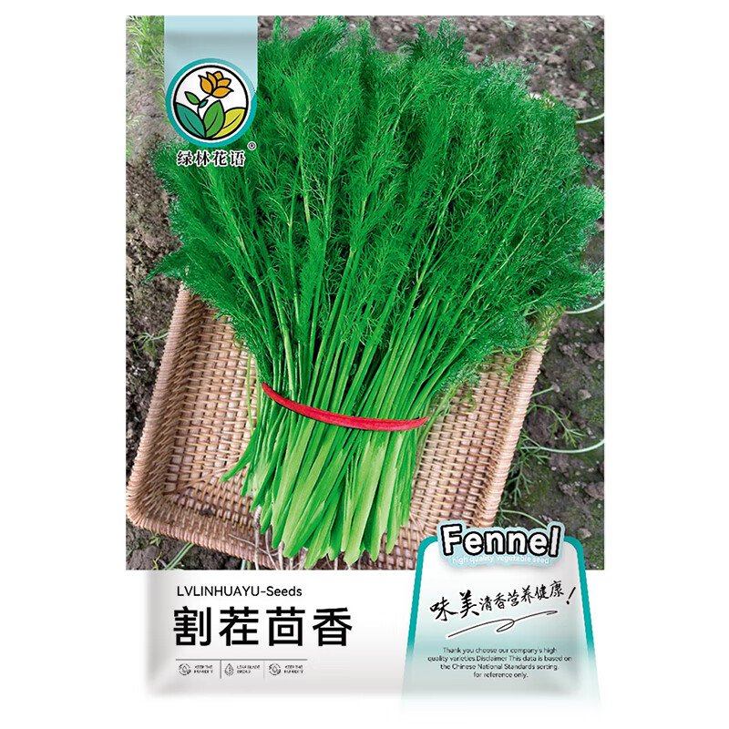绿林花语割茬茴香种子小茴香籽四季种蔬菜莳萝籽农家阳台割茬选茴香