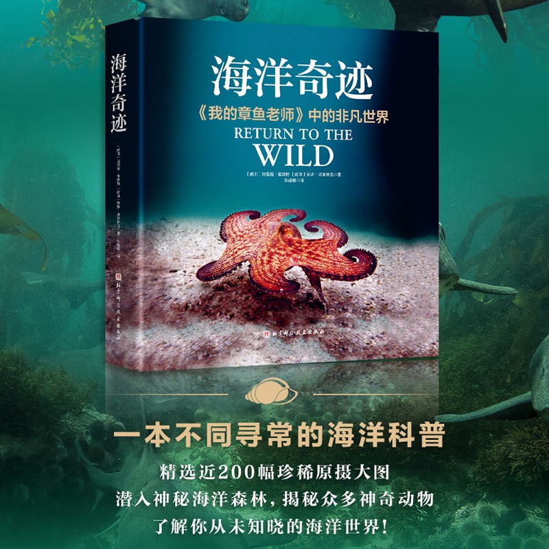 海洋奇迹(重现奥斯卡最佳纪录片《我的章鱼老师》中的非凡世界！近200张珍稀图景，揭秘神秘海洋森林