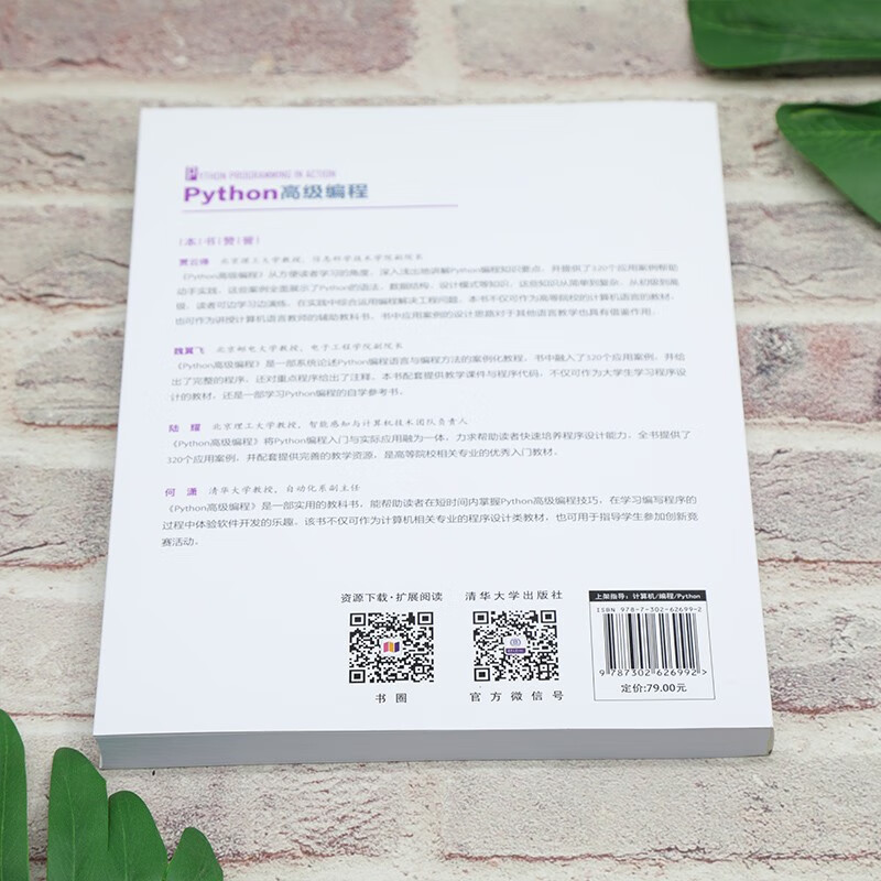 Python高级编程（计算机科学与技术丛书）详情图