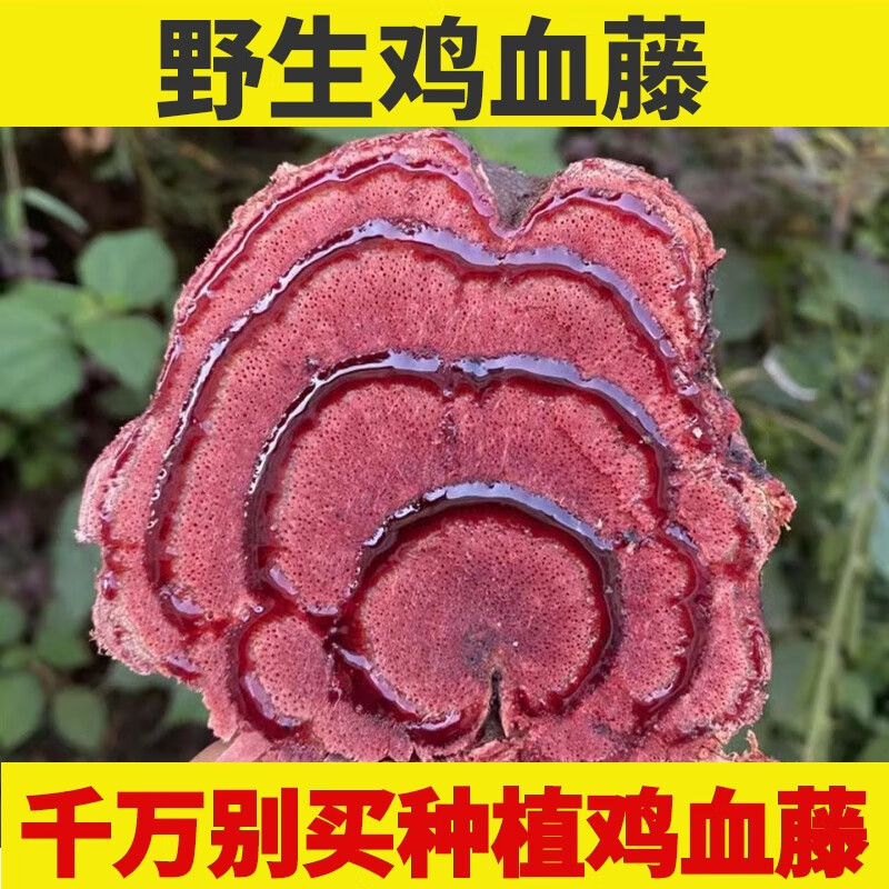 康中尊 野生鸡血藤中药材老藤血风藤精选鸡血屯干片泡酒水材料大血藤
