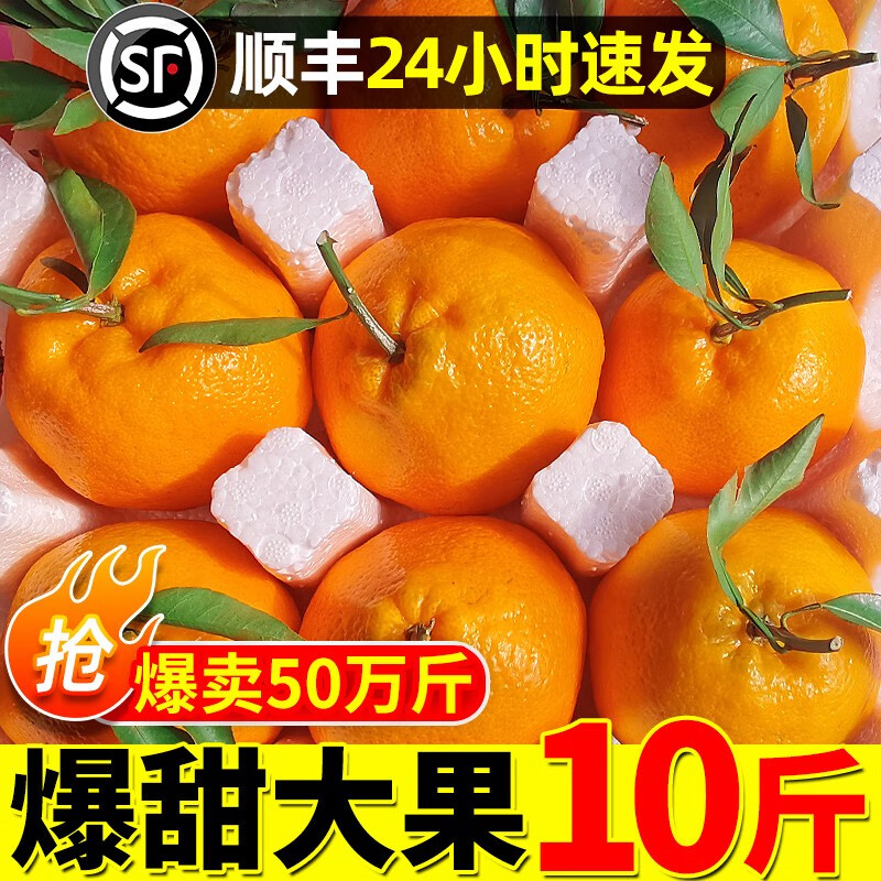 四川的耙耙柑是橘子吗(四川耙耙柑介绍)