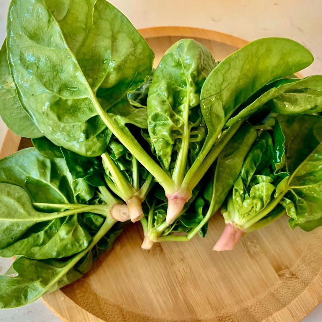 3斤上海崇明本地矮脚菠菜崇明特产小菠菜巴奴笨菠菜绿色生态蔬菜 3斤