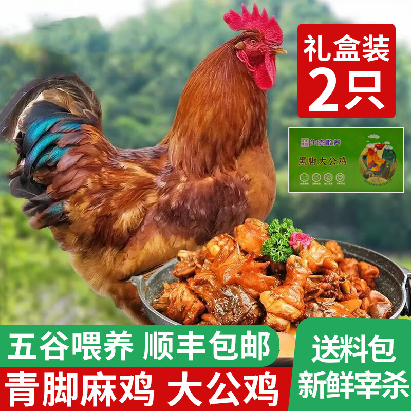岽鲜农家散养土公鸡肉新鲜青脚黄鸡黑凤大公鸡土鸡走地鸡整鸡鸡肉生鲜 【礼盒装】黑脚麻公鸡2斤*2只