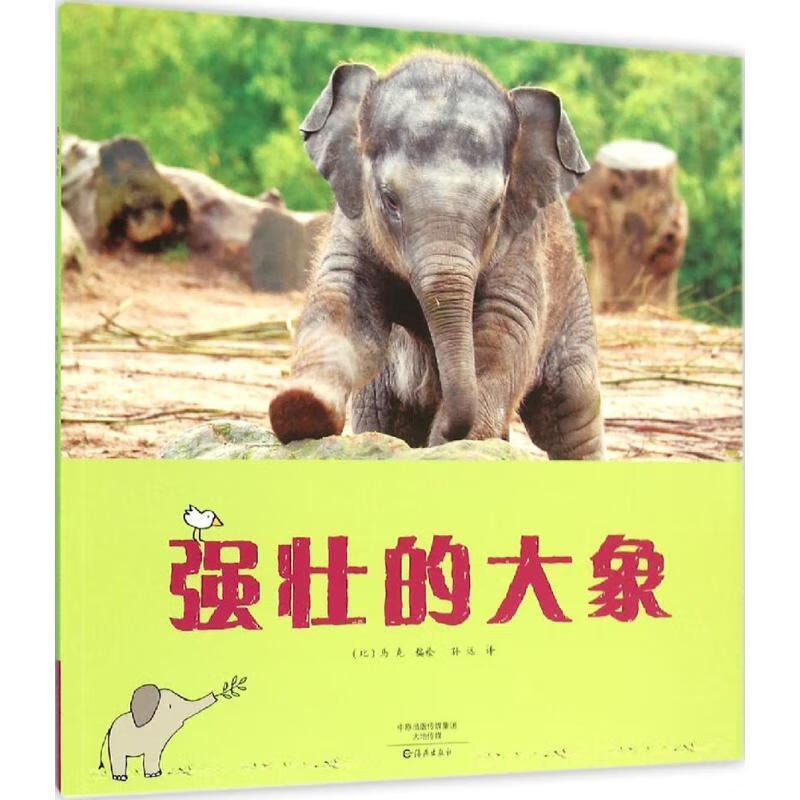 强壮的大象 (比)马克(mack) 编绘,孙远 译【正版书】
