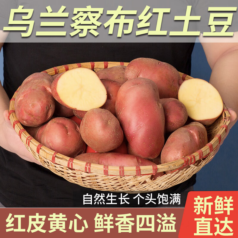 內(nèi)蒙古高原火山馬鈴薯 烏蘭察布后旗紅皮黃心土豆 農(nóng)家現(xiàn)挖沙土豆 9.2斤優(yōu)選果