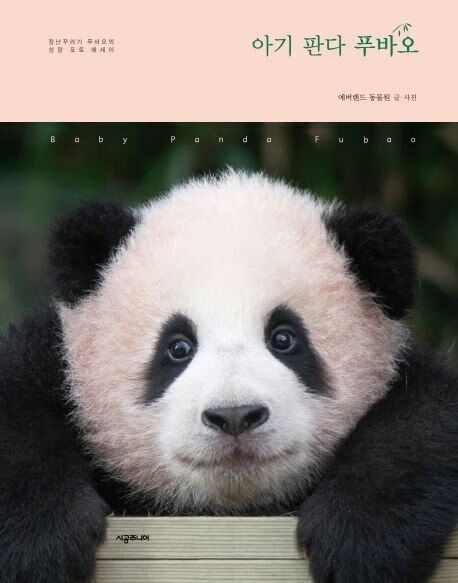韩国熊猫宝宝福宝成长写真集 成长写真集