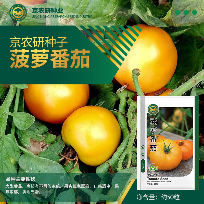 西红柿千禧樱桃小番茄圣女果普罗旺斯粉果易种蔬菜籽 菠萝番茄约50粒