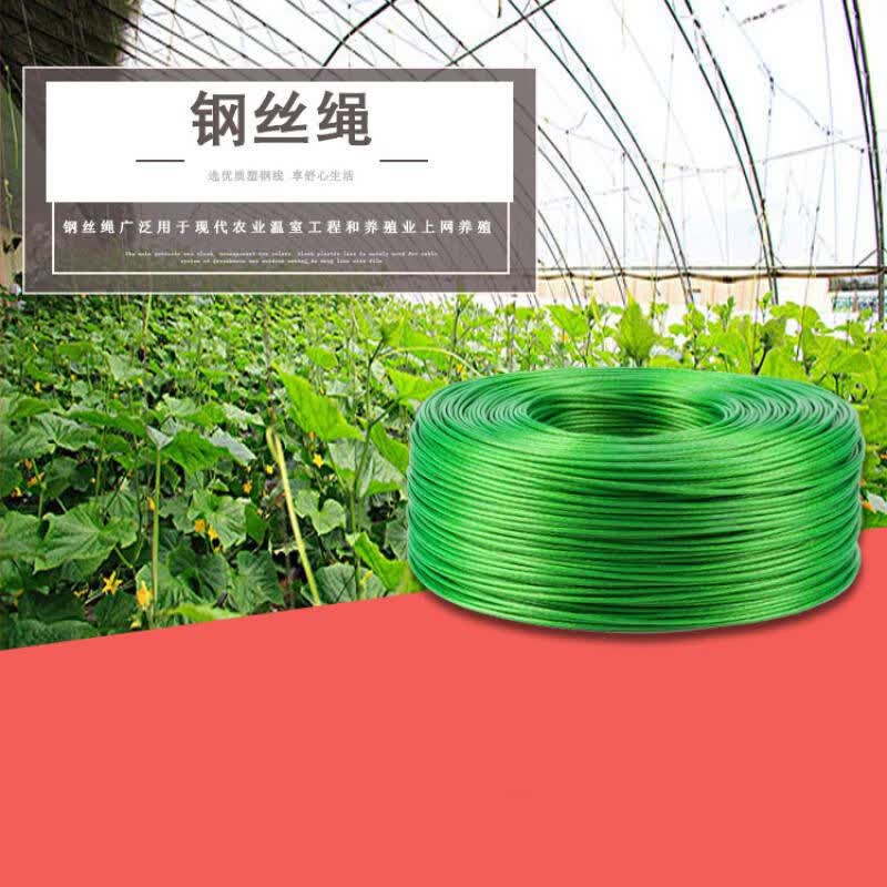 纳仕达 绿塑胶钢丝绳透明软细大棚水果架包胶遮阳网包塑晾衣绳拉紧器卡头夹头 4毫米50米(卡头4个)
