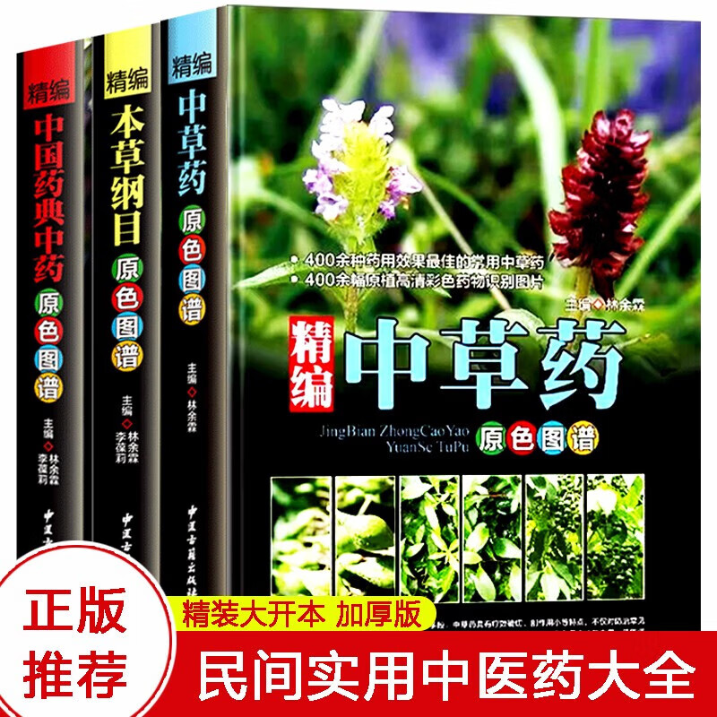 中国药材图鉴 中医学书籍中药材大全 300余种常用中草药识别应用原色