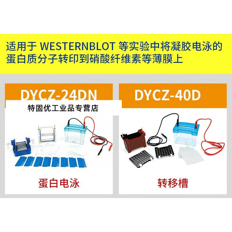 北京六一DYCZ-24DN双垂直电泳仪槽DYCZ-40D转移槽WesternBlot实验 DYCZ-24DN不含税价