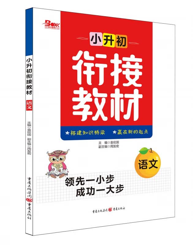 2020年小升初衔接教材语文