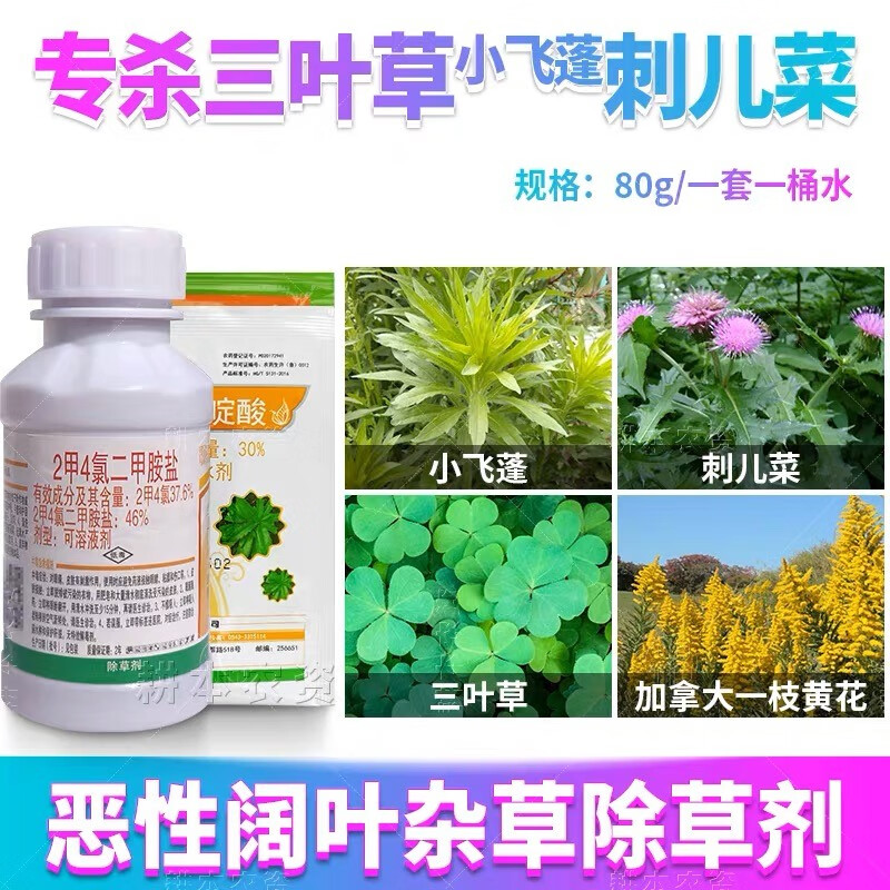黑麦草马尼拉狗牙根草坪专用除草剂小飞蓬刺儿菜紫花苜蓿白三叶草 80g