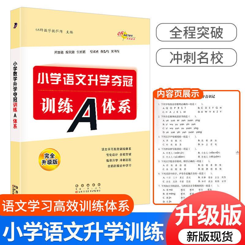 2023版小学语文知识大集结升学夺冠训练A体系语数英小升初总复习 23版训练A体系 语文