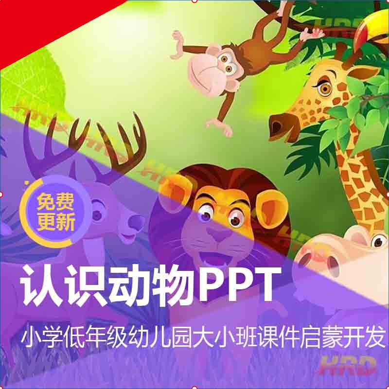 认识动物ppt 小学低年级幼儿园大小班课件 少儿智力