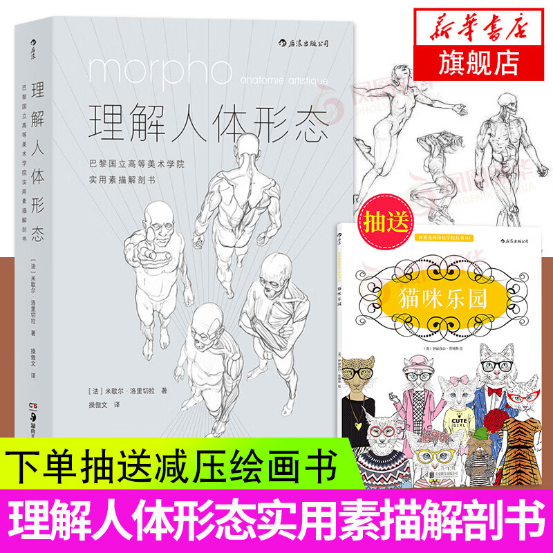 理解人体形态 巴黎国立高等美术学院实用素