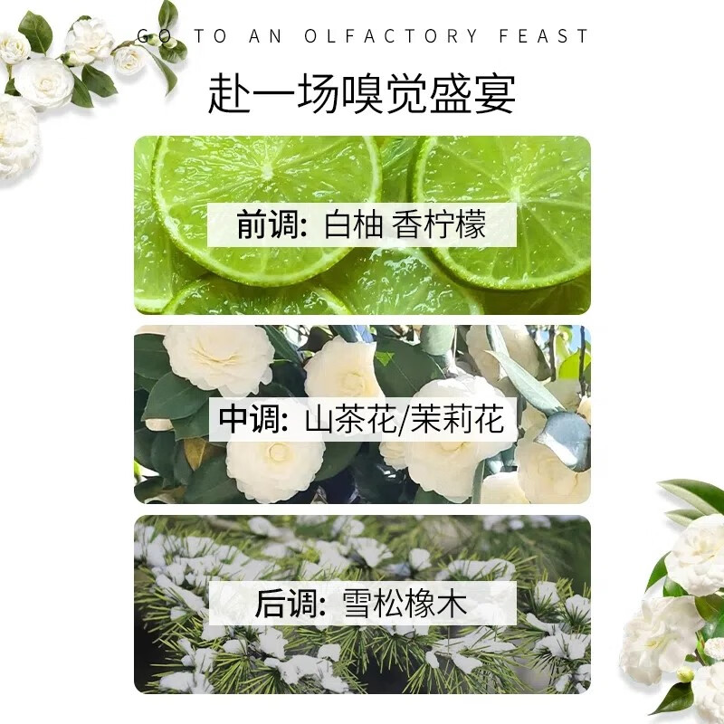 Orb Lil山茶油控油柔顺洗发水控油柔润亮泽清爽护发山茶香氛洗发露750ml 山茶油控油洗发水 750ml*1瓶