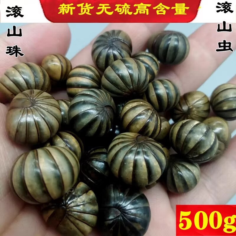 滚山珠虫滚山虫地罗汉中药材滚山虫 子罗夺 50克