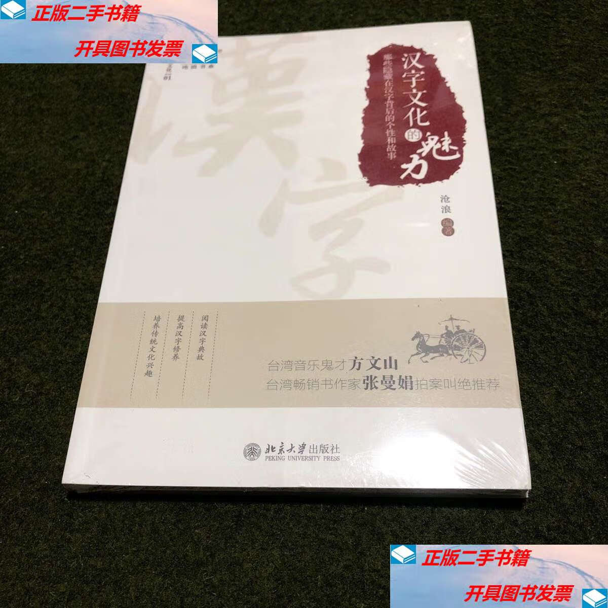 【二手9成新】汉字文化的魅力 /沧浪 北京大学