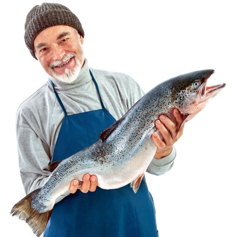 聚鲜品挪威进口冰鲜整条三文鱼(大西洋鲑)14-12斤一条 可选择发货方式 要整条发出 京东折扣/优惠券