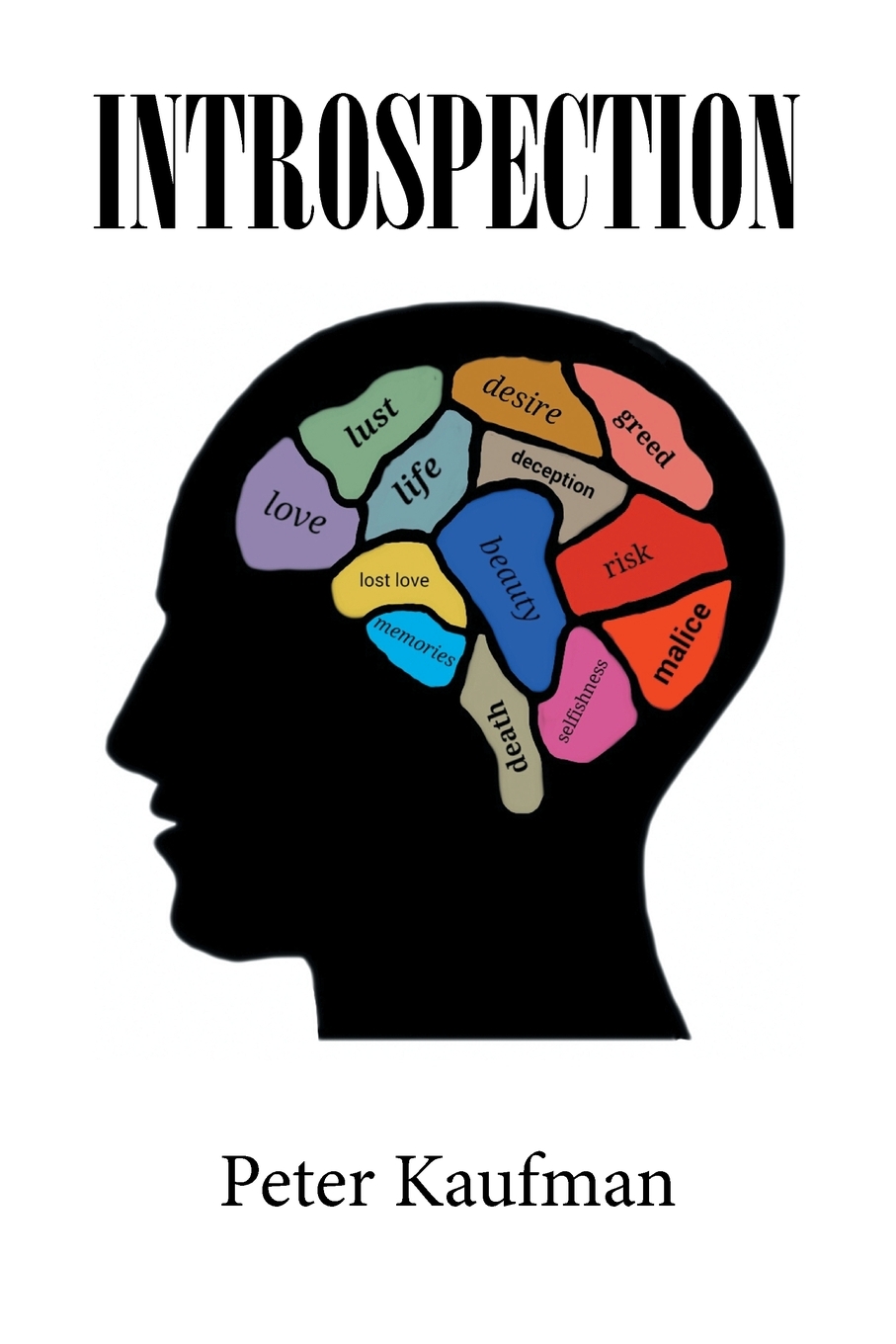 预售 按需印刷introspection