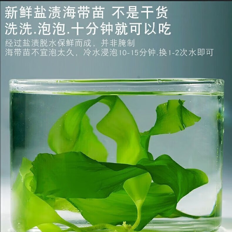 顶吉渔海带苗嫩特非干货级新鲜小海带芽盐渍煮汤凉拌菜霞浦海带 霞浦海带嫩苗250g*6包