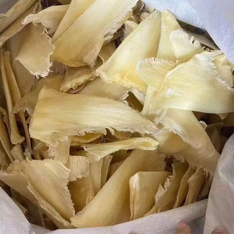 青片翅食用新西兰8寸全针足干非金勾牙拣佛跳墙鸽吞刺 500克