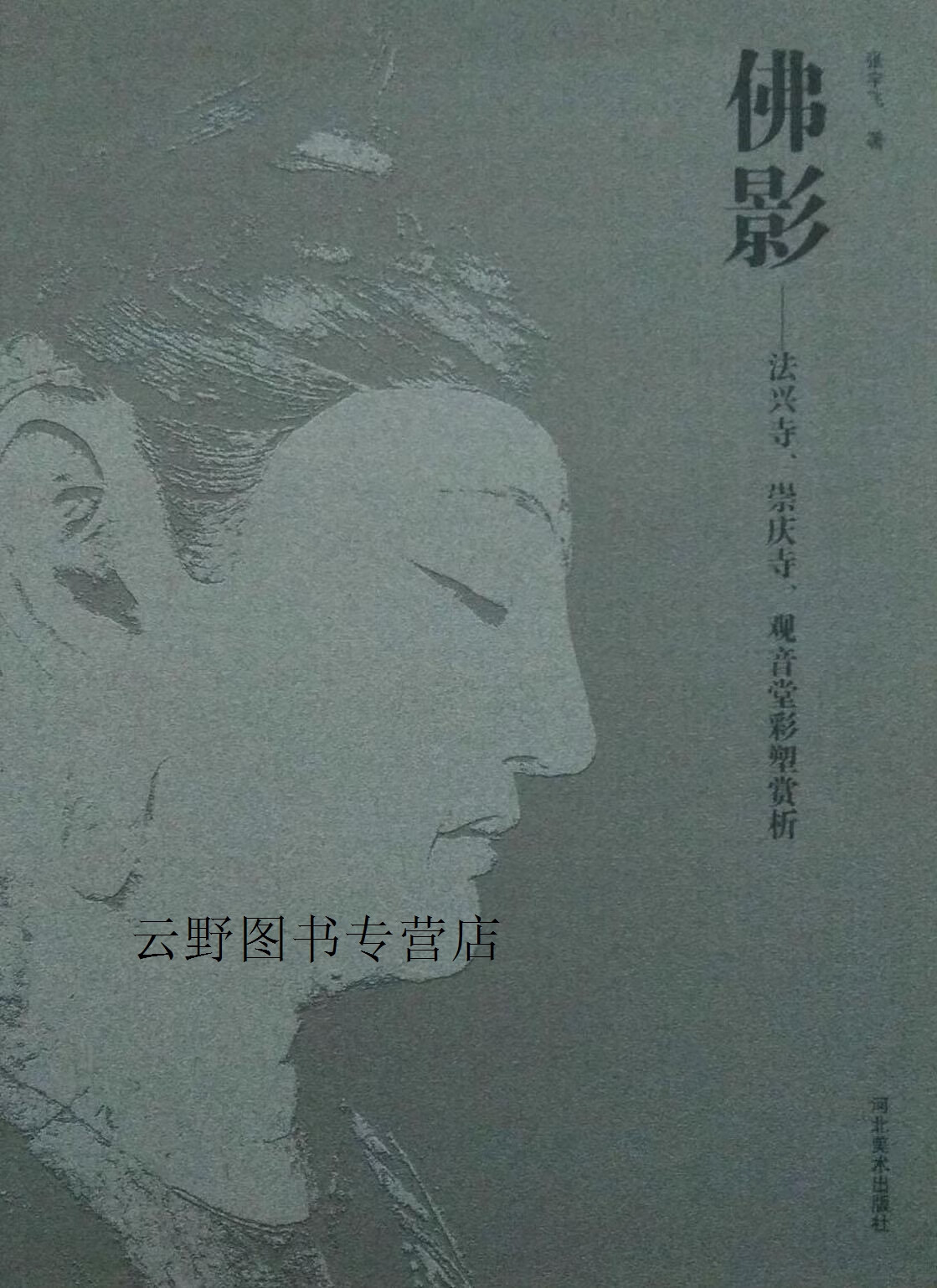 佛影 : 法兴寺崇庆寺观音堂彩塑赏析,张宇飞著,河北美术出版社
