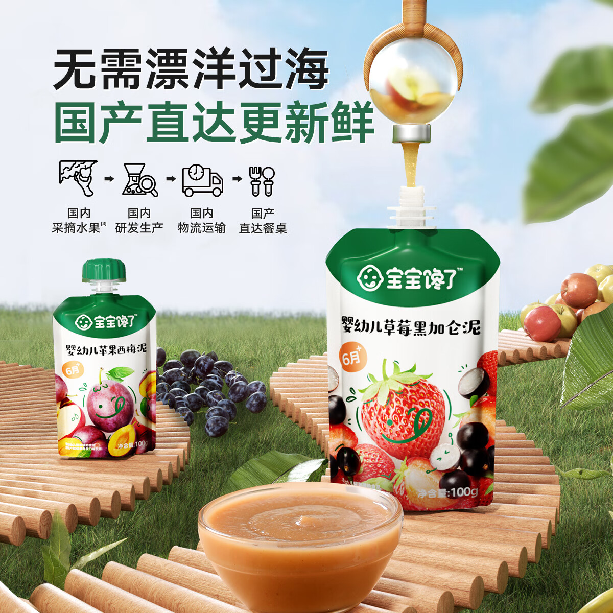 �������� Ӥ�׶���ʳˮ������������ͯ���б�����ʳ����6��������1�� Ӥ�׶�ɽ���÷�� 100g 1��